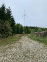 Windpark Sternwald Exkursion