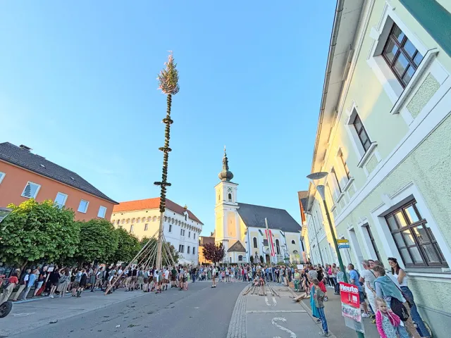 Maibaum 2025 in Vorchdorf per Hand gesetzt
